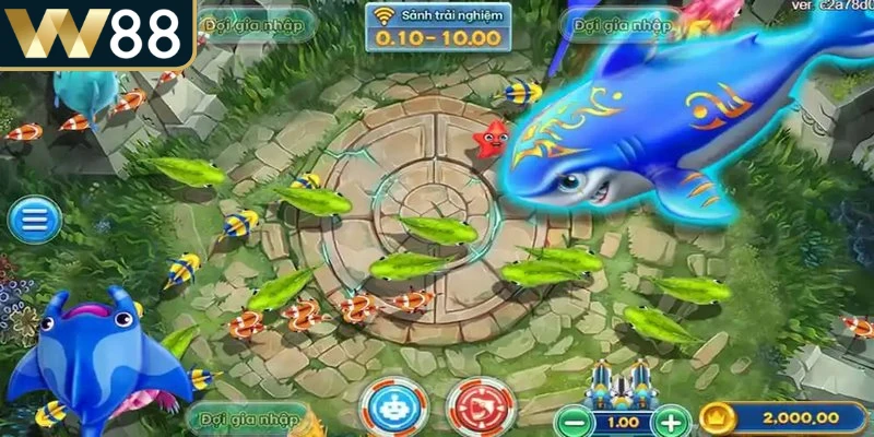 Người chơi cần quan sát tốc độ của cá hiếm trước khi quyết định nâng cấp