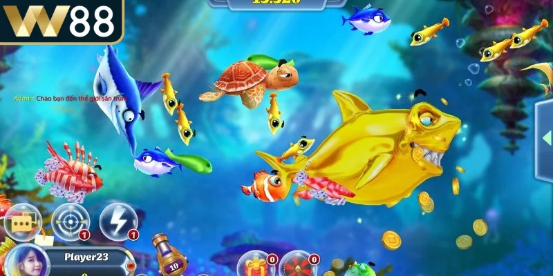 Đàn cá xuất hiện theo từng đợt, tạo cơ hội tăng điểm nhanh