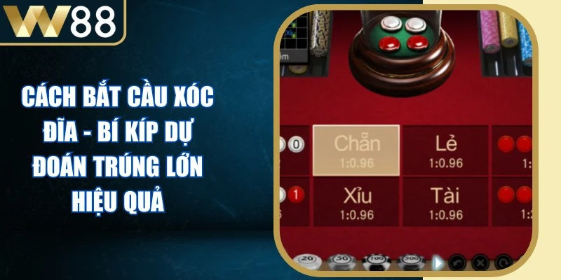 Cách Bắt Cầu Xóc Đĩa
