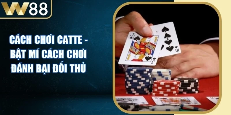 Cách Chơi Catte