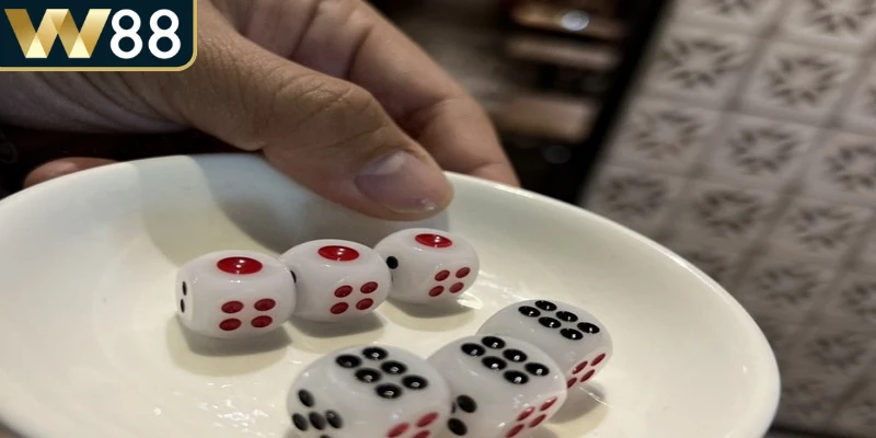 Sai lầm thường gặp trong cách chơi xí ngầu