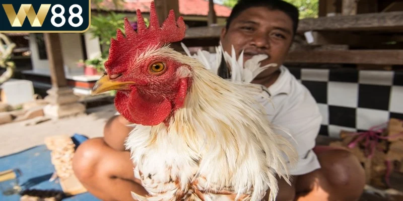 Hiểu rõ thuật ngữ là bước quan trọng trước khi tham gia bất kỳ trận đấu nào 